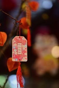 ví điện tử 8Day